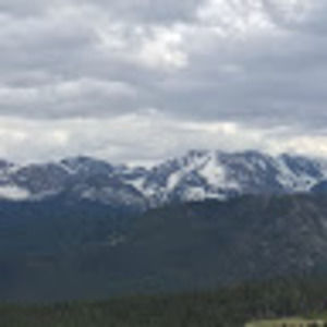 Meet your Posher, Bernardo